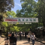 image2.jpg