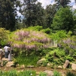 image5.jpg